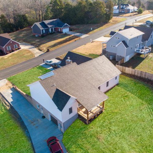 rough-foliage-tests-1-of-2