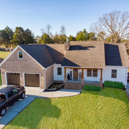 rough-foliage-tests-2-of-2